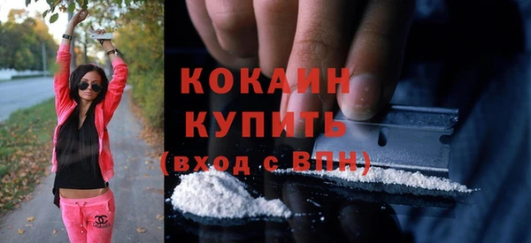 сатива Аркадак