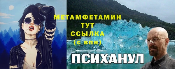 сатива Аркадак